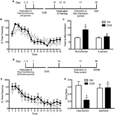 A Rodent Model of Exposure Therapy: The Use of Fear Extinction as a Therapeutic Intervention for PTSD